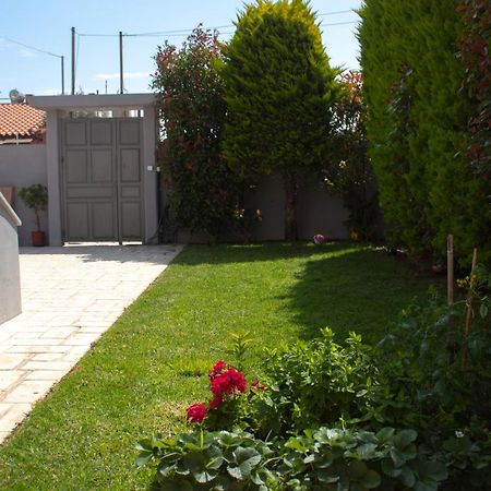 Elias Studio - Near To The Port Of Rafina And The Airport Of Athens Agios Spyridon  Экстерьер фото
